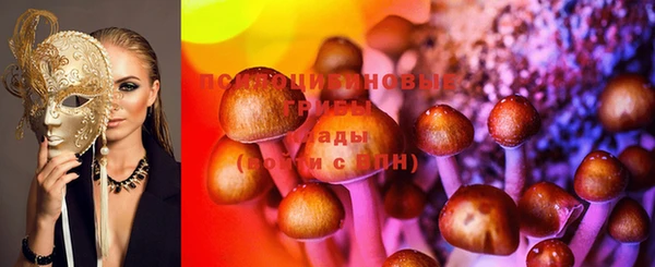 хмурый Алексеевка